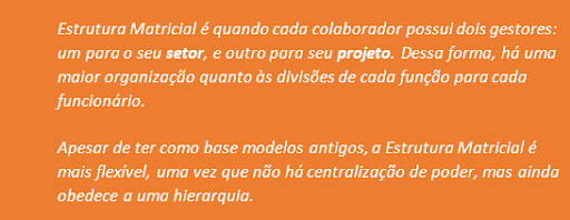 Como são as lideranças em ambientes tecnológicos? Especialista comenta novos desafios